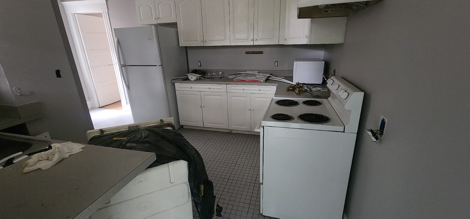 Minton before pic